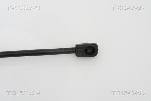 Vérin (Vérin de hayon) Triscan A/S 8710 24226