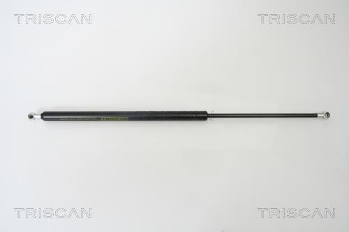 Vérin (Vérin de hayon) Triscan A/S 8710 24227
