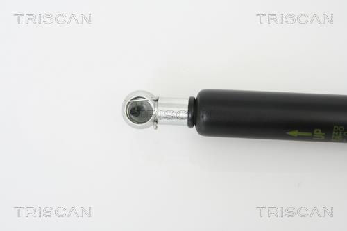 Vérin (Vérin de hayon) Triscan A/S 8710 24227