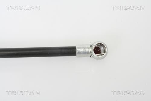Vérin (Vérin de hayon) Triscan A/S 8710 24227