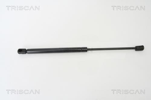 Vérin (Vérin de hayon) Triscan A/S 8710 24228