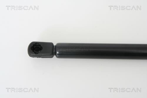 Vérin (Vérin de hayon) Triscan A/S 8710 24228