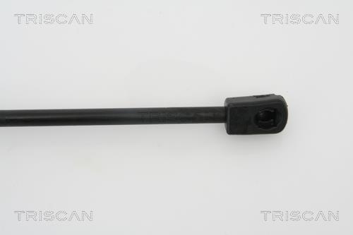 Vérin (Vérin de hayon) Triscan A/S 8710 24228
