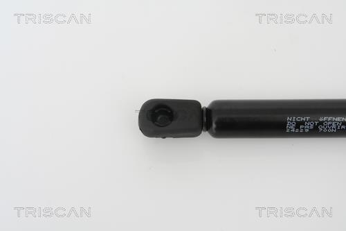 Vérin (Vérin de hayon) Triscan A/S 8710 24229