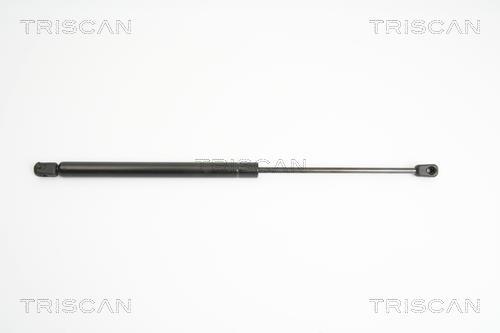 Vérin (Vérin de hayon) Triscan A/S 8710 24230