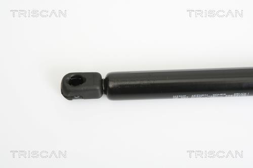 Vérin (Vérin de hayon) Triscan A/S 8710 24230