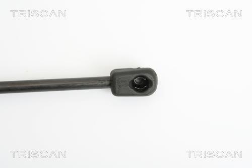 Vérin (Vérin de hayon) Triscan A/S 8710 24230
