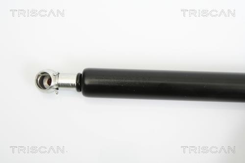 Vérin (Vérin de hayon) Triscan A/S 8710 24231