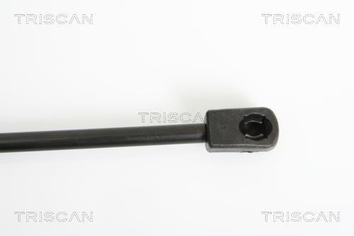 Vérin (Vérin de hayon) Triscan A/S 8710 24231