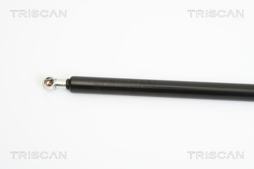 Vérin (Vérin de hayon) Triscan A/S 8710 24232