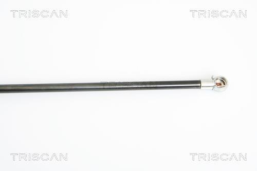 Vérin (Vérin de hayon) Triscan A/S 8710 24232