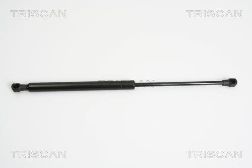Vérin (Vérin de hayon) Triscan A/S 8710 24233