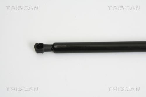 Vérin (Vérin de hayon) Triscan A/S 8710 24233