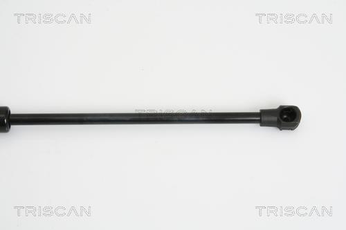 Vérin (Vérin de hayon) Triscan A/S 8710 24233