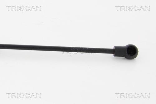 Muelle neumático Triscan A/S 8710 24234