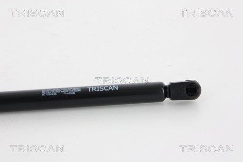 Vérin (Vérin de hayon) Triscan A/S 8710 24235