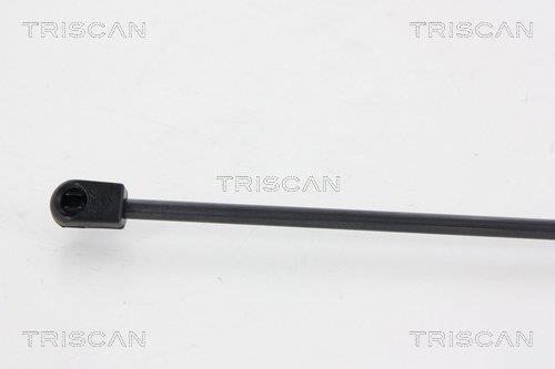 Vérin (Vérin de hayon) Triscan A/S 8710 24235
