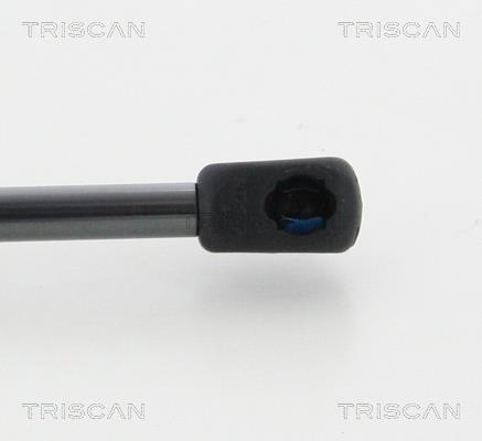 Muelle neumático Triscan A/S 8710 24236