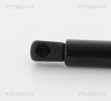 Muelle neumático Triscan A/S 8710 24236