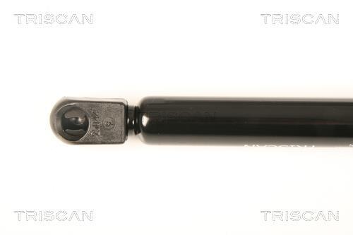 Vérin (Vérin de hayon) Triscan A/S 8710 24237