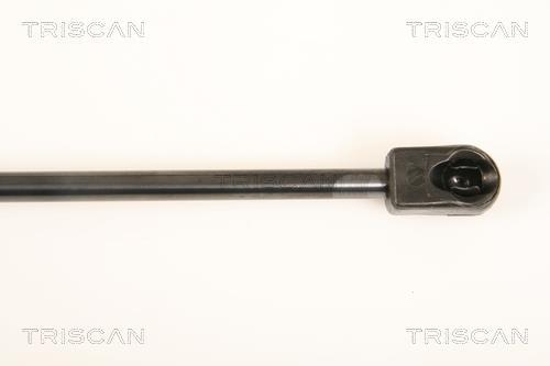 Vérin (Vérin de hayon) Triscan A/S 8710 24237