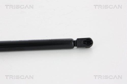 Muelle neumático Triscan A/S 8710 24238