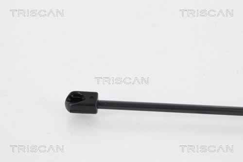 Muelle neumático Triscan A/S 8710 24238