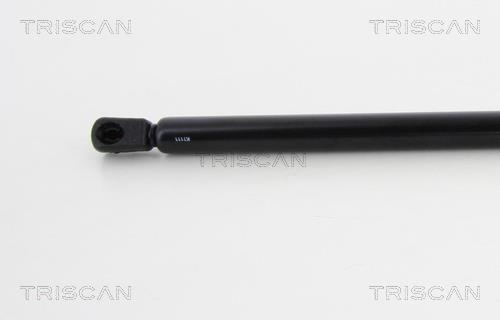 Vérin (Vérin de hayon) Triscan A/S 8710 24241