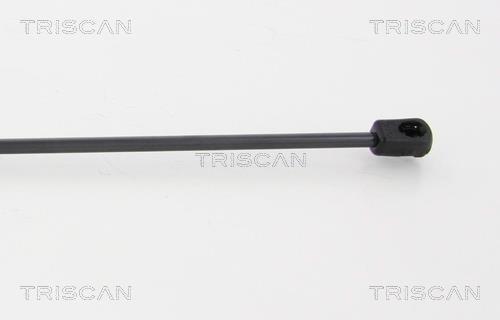 Vérin (Vérin de hayon) Triscan A/S 8710 24241