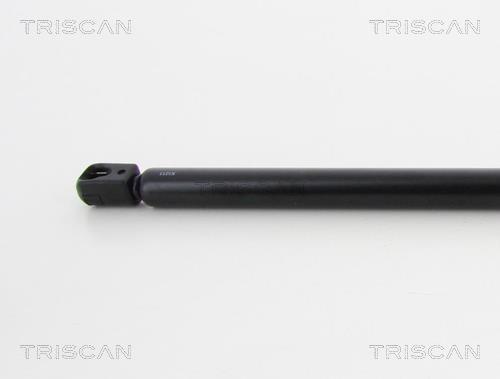 Vérin (Vérin de hayon) Triscan A/S 8710 24244