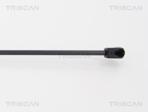 Vérin (Vérin de hayon) Triscan A/S 8710 24244