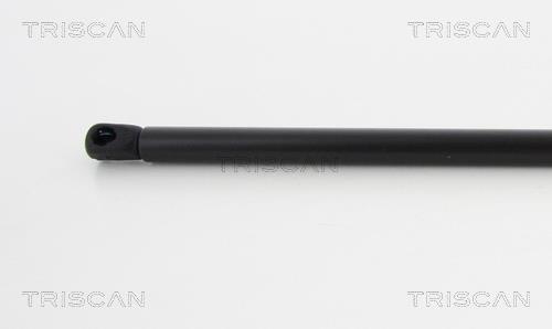 Vérin (Vérin de hayon) Triscan A/S 8710 24245