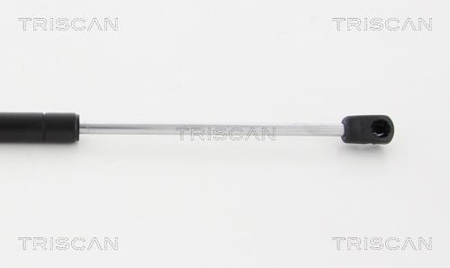 Vérin (Vérin de hayon) Triscan A/S 8710 24245