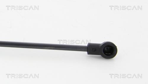 Muelle neumático Triscan A/S 8710 24246