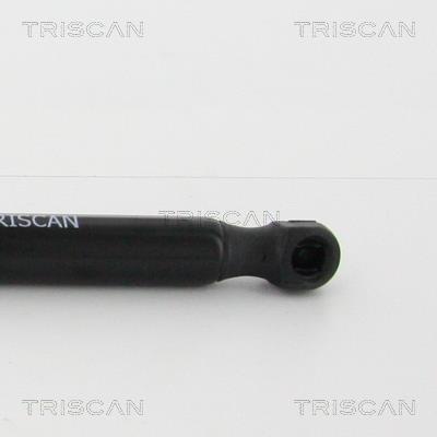 Vérin (Vérin de hayon) Triscan A/S 8710 24247