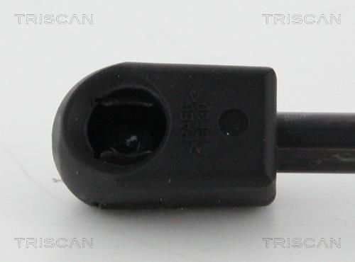 Vérin (Vérin de hayon) Triscan A/S 8710 24247