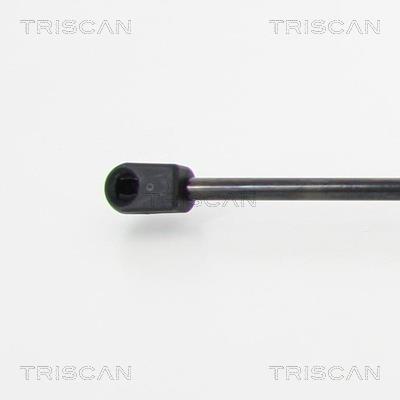 Vérin (Vérin de hayon) Triscan A/S 8710 24250