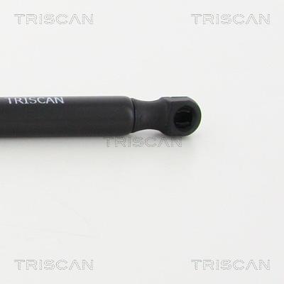 Vérin (Vérin de hayon) Triscan A/S 8710 24250
