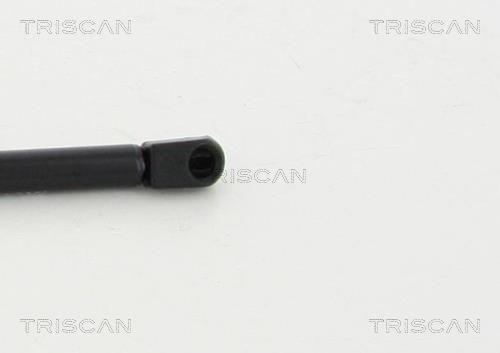Vérin (Vérin de hayon) Triscan A/S 8710 24252