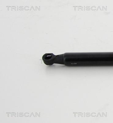 Vérin (Vérin de hayon) Triscan A/S 8710 24254
