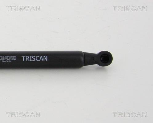 Vérin (Vérin de hayon) Triscan A/S 8710 24255