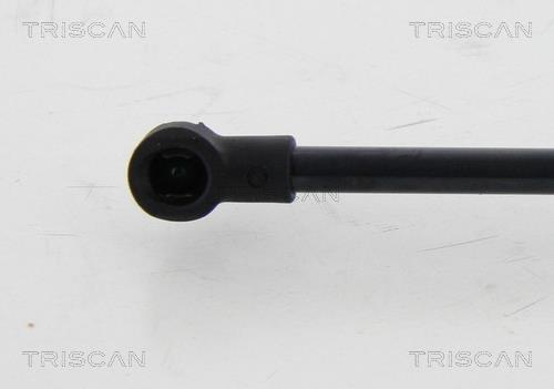 Vérin (Vérin de hayon) Triscan A/S 8710 24255