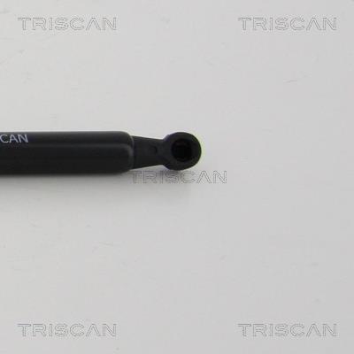 Vérin (Vérin de hayon) Triscan A/S 8710 24256