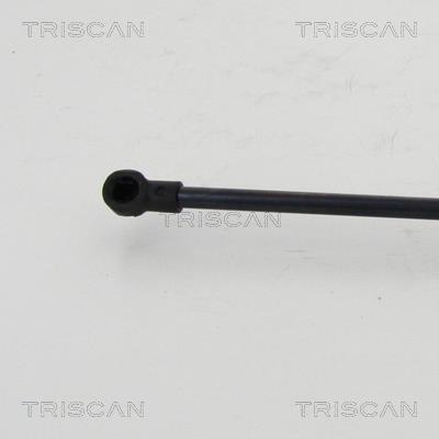 Vérin (Vérin de hayon) Triscan A/S 8710 24256