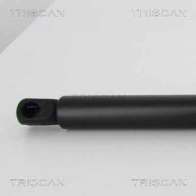 Vérin (Vérin de hayon) Triscan A/S 8710 24258