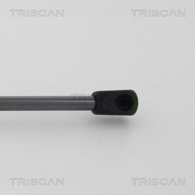 Vérin (Vérin de hayon) Triscan A/S 8710 24258