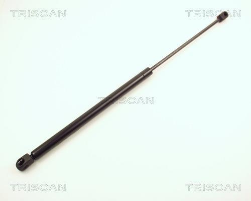 Vérin (Vérin de hayon) Triscan A/S 8710 2426