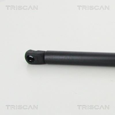 Vérin (Vérin de hayon) Triscan A/S 8710 24260