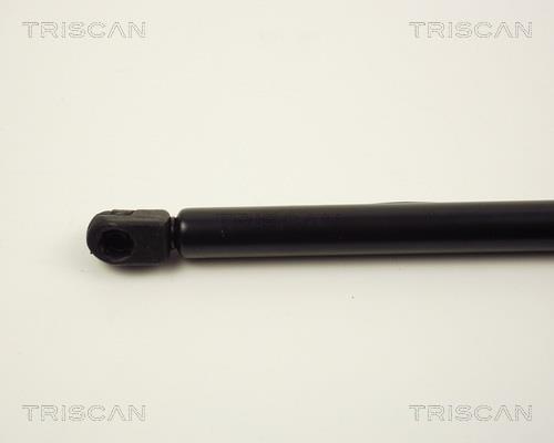Vérin (Vérin de hayon) Triscan A/S 8710 2426