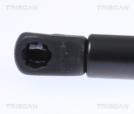 Vérin (Vérin de hayon) Triscan A/S 8710 24291